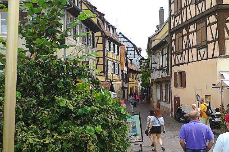Location de vacances - Gîte à Colmar