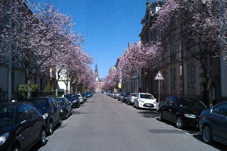 Location de vacances - Gîte à Colmar