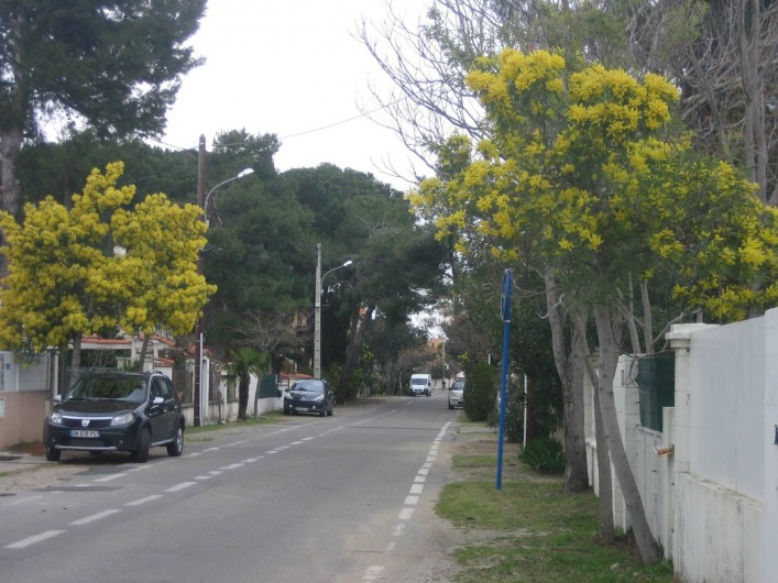 Location de vacances - Appartement à Argelès-sur-Mer - Avenue des mimosas