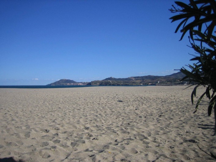 Location de vacances - Appartement à Argelès-sur-Mer - Vue de la plage sur les Albères lieu de ballades pédestres