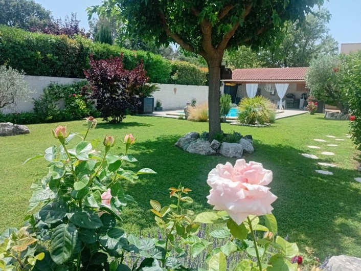 Location de vacances - Gîte à L'Isle-sur-la-Sorgue - Voir la vie en Roses