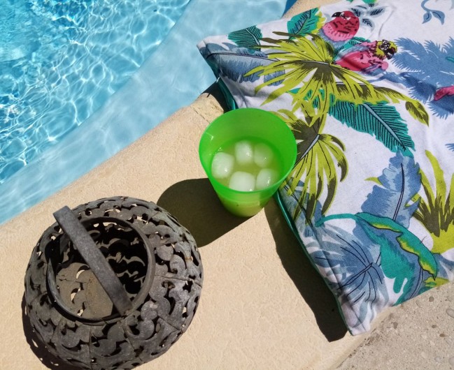 Location de vacances - Gîte à L'Isle-sur-la-Sorgue - Se désaltérer