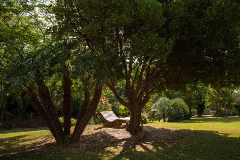 Location de vacances - Bungalow - Mobilhome à Palau-del-Vidre - Espaces verts