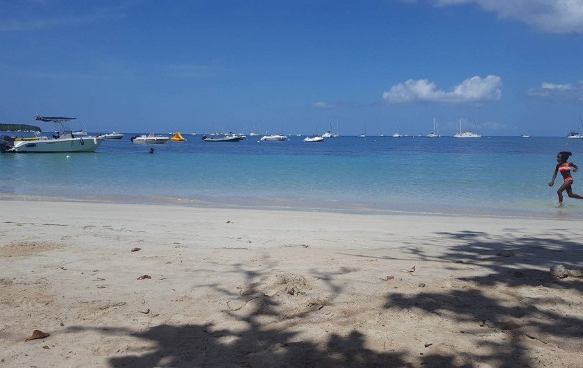 Location de vacances - Villa à Sainte-Anne - Plage de la Pointe du Marin