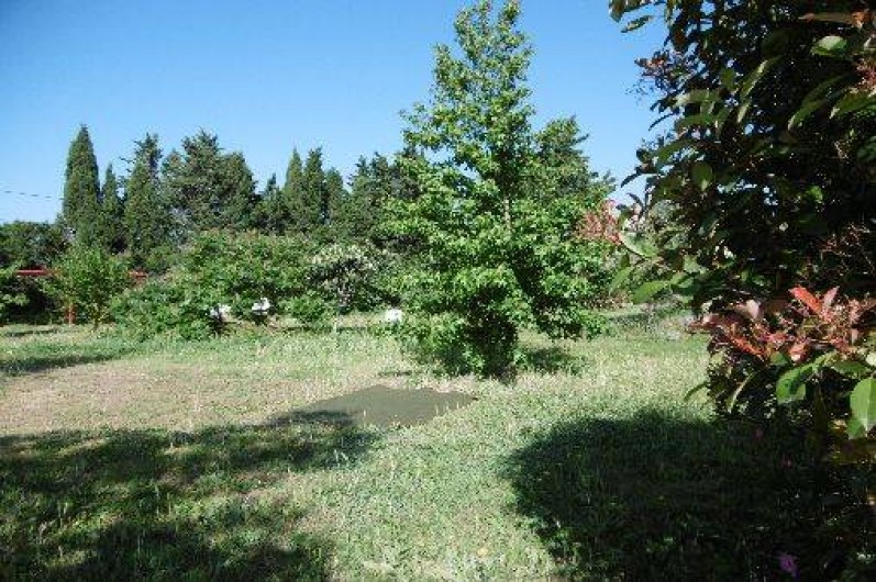 Location de vacances - Gîte à Elne - le parc