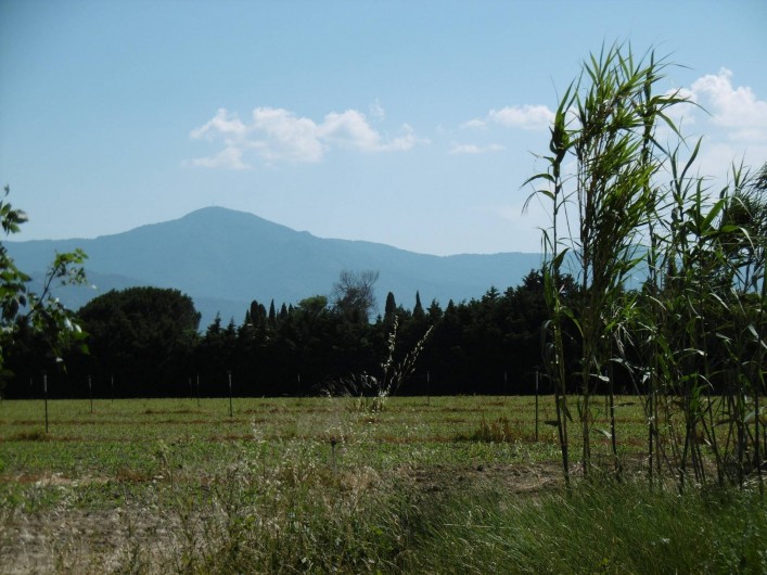 Location de vacances - Gîte à Elne - exterieurs