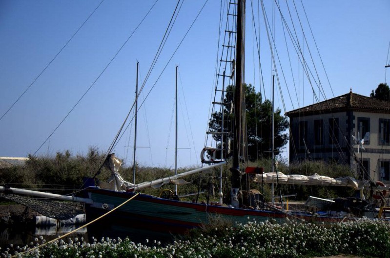 Location de vacances - Appartement à Marseillan