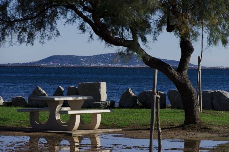 Location de vacances - Appartement à Marseillan