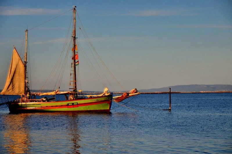 Location de vacances - Appartement à Marseillan