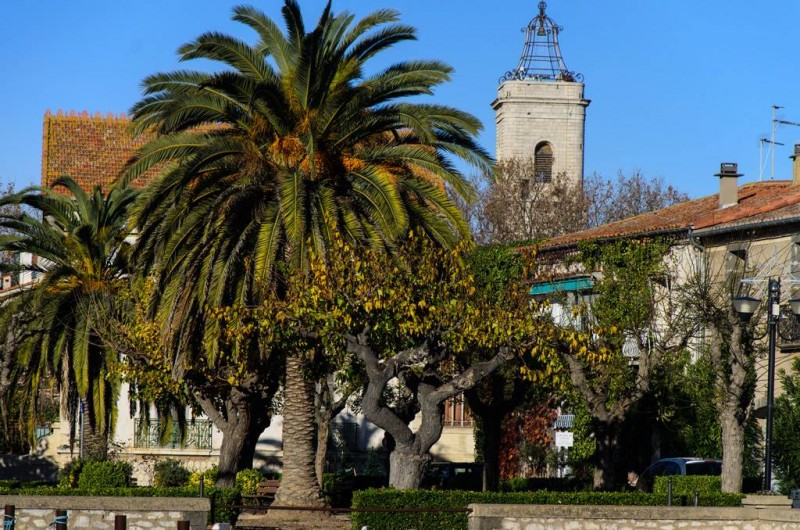 Location de vacances - Appartement à Marseillan