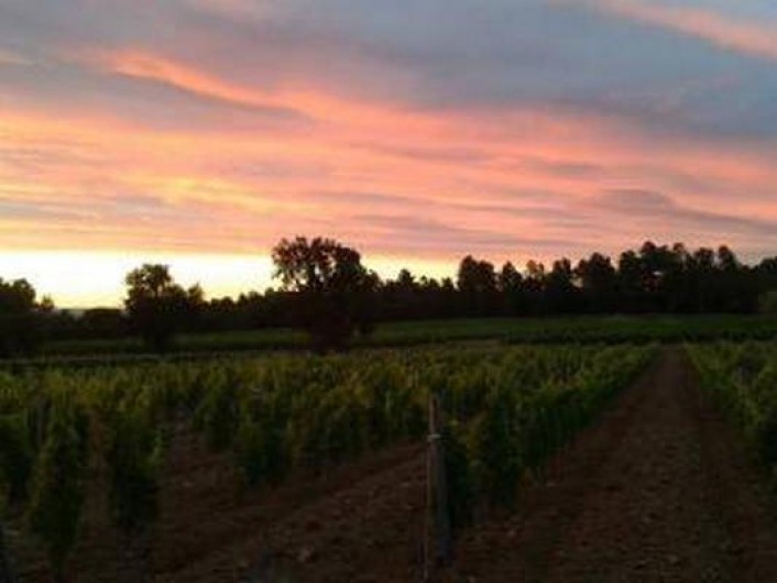 Location de vacances - Villa à La Garde-Freinet
