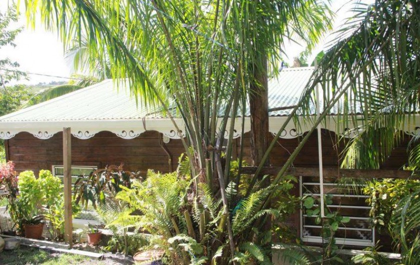 Location de vacances - Bungalow - Mobilhome à Rivière-Salée - Arrière plant du Bungalow côté jardin