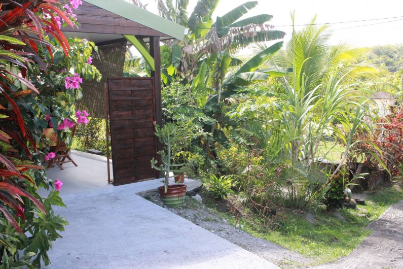 Location de vacances - Bungalow - Mobilhome à Rivière-Salée - Paysage autour du Bungalow (petit coin de verdure)