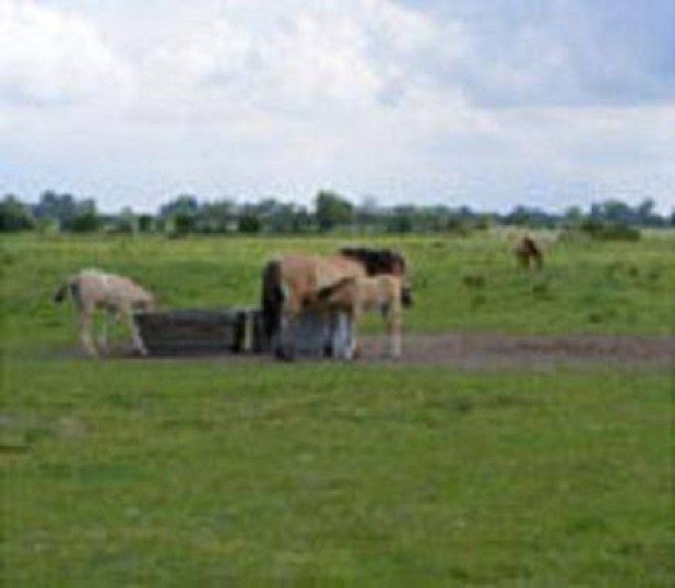 Location de vacances - Appartement à Le Crotoy