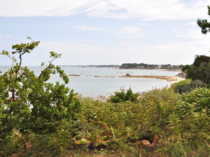 Location de vacances - Maison - Villa à Saint-Pierre-Quiberon