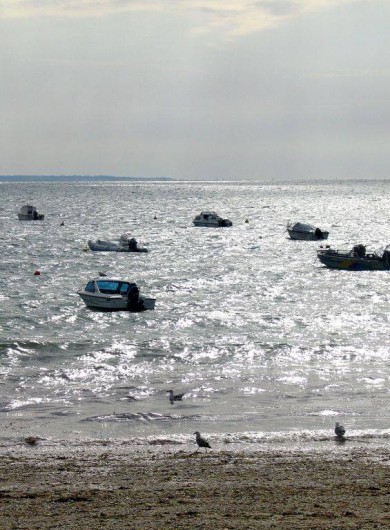 Location de vacances - Maison - Villa à Saint-Pierre-Quiberon