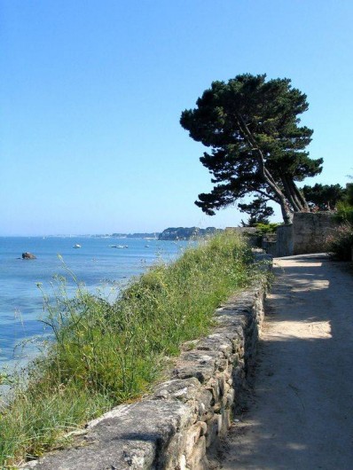 Location de vacances - Maison - Villa à Saint-Pierre-Quiberon