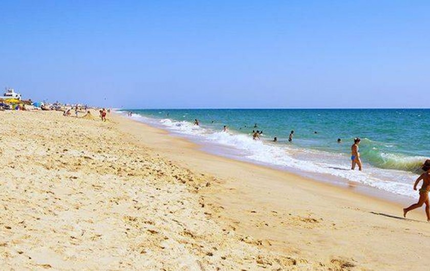 Location de vacances - Appartement à Faro - plage de île de Faro
