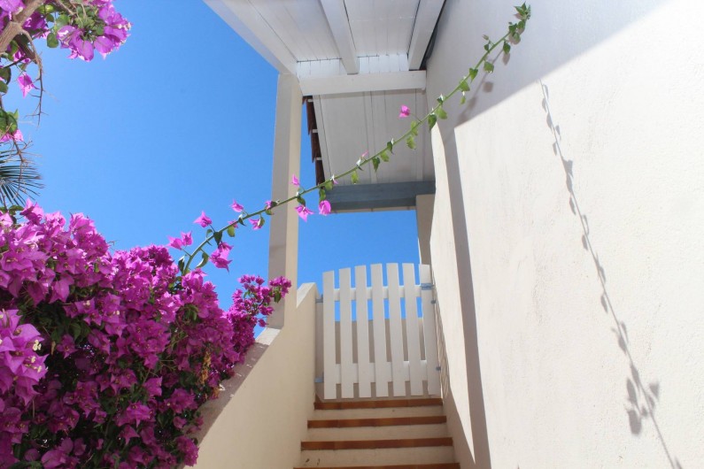 Location de vacances - Chambre d'hôtes à Porticcio - Montée fleurie à l'étage