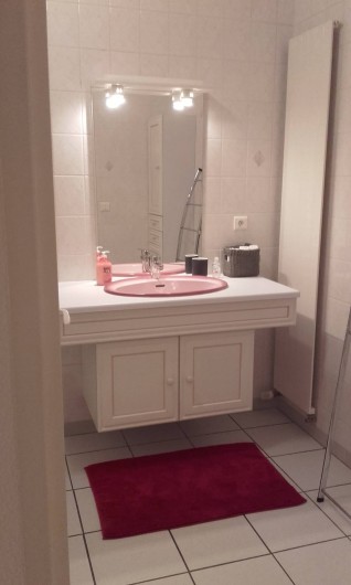 Location de vacances - Appartement à Loisy-sur-Marne - lavabo de la salle de bain