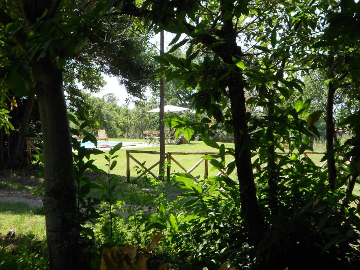Location de vacances - Gîte à Viterbo - Le jardin