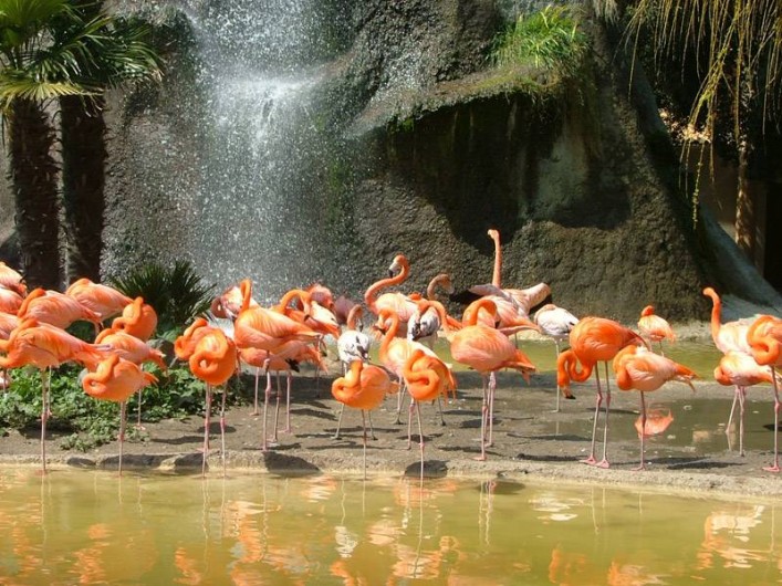 Location de vacances - Camping à Semussac