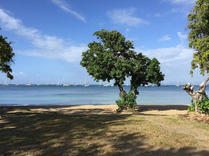 Location de vacances - Villa à Sainte-Anne