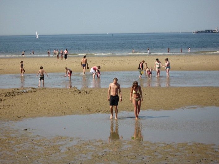 Location de vacances - Maison - Villa à Nieuwvliet - une belle plage, a 2,5 km