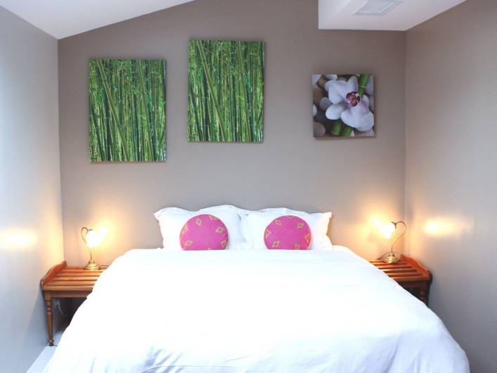 Location de vacances - Chambre d'hôtes à Île-aux-Moines - ILE MAURICE  le  gite , chambre avec lit double séparable