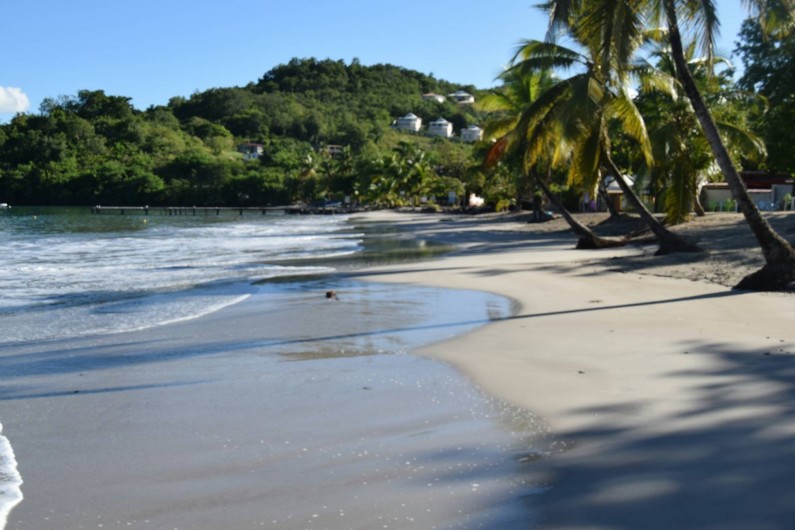 Location de vacances - Appartement à Les Trois-Îlets - Une des plages de l'Anse à l'Âne
