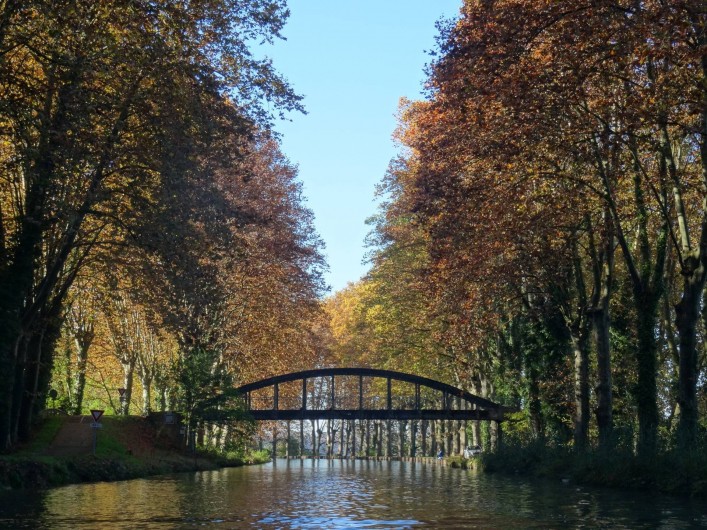Location de vacances - Gîte à Meilhan-sur-Garonne - Canal à l'automne