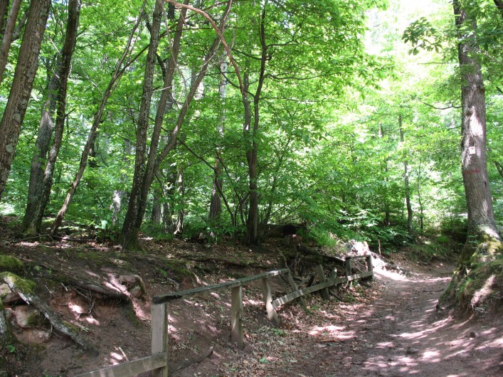 Location de vacances - Gîte à Orschwiller - Chemin pédestre qui même au Château du Haut-Koenigsbourg