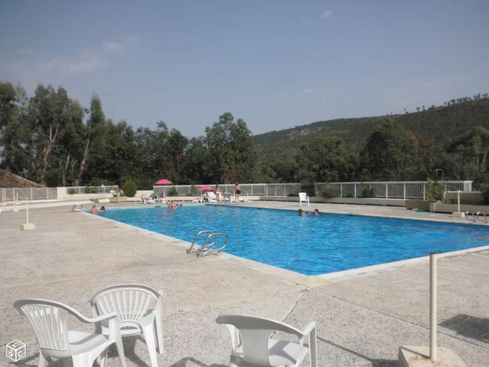 Location de vacances - Studio à Mandelieu-la-Napoule - piscine 25x10 m 