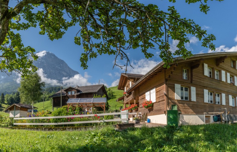 Location de vacances - Appartement à Grindelwald - Chalet im Boden et Eiger