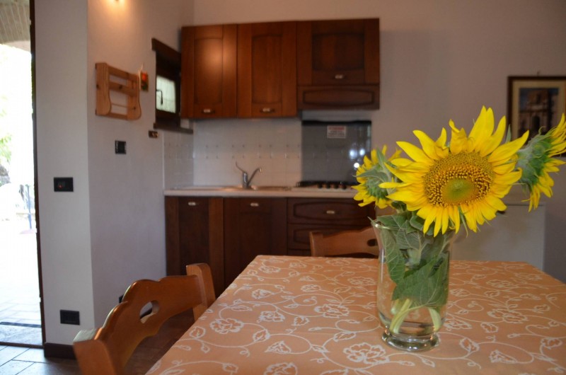 Location de vacances - Appartement à Amelia