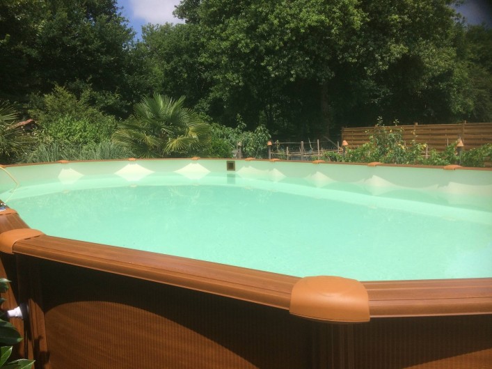 Location de vacances - Gîte à Lue - piscine  de  9 mètres sur 5,    échelle sécurisée.