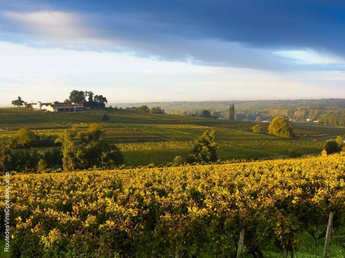 Location de vacances - Chambre d'hôtes à Sauternes