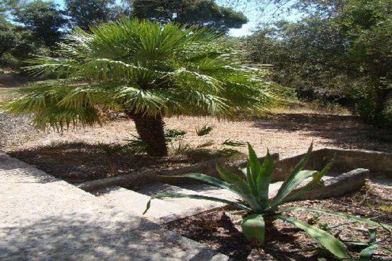 Location de vacances - Appartement à Patrimonio