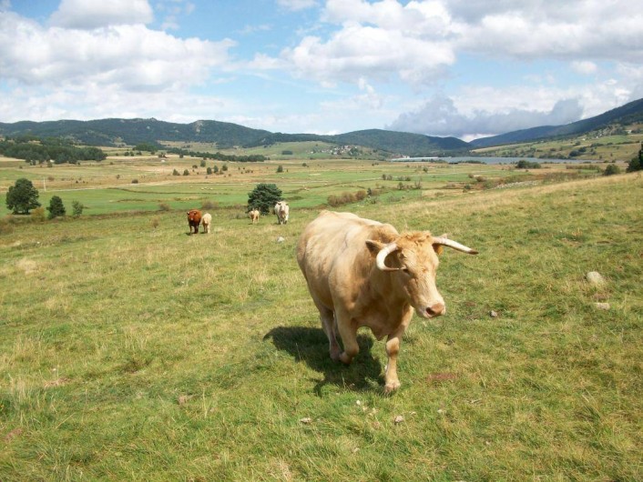 Location de vacances - Gîte à Formiguères