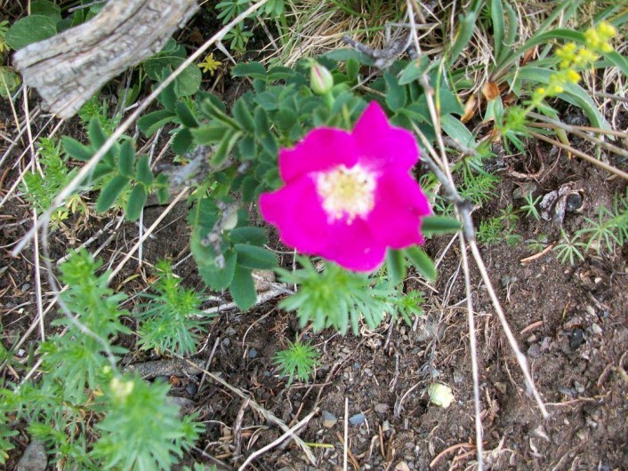 Location de vacances - Gîte à Formiguères