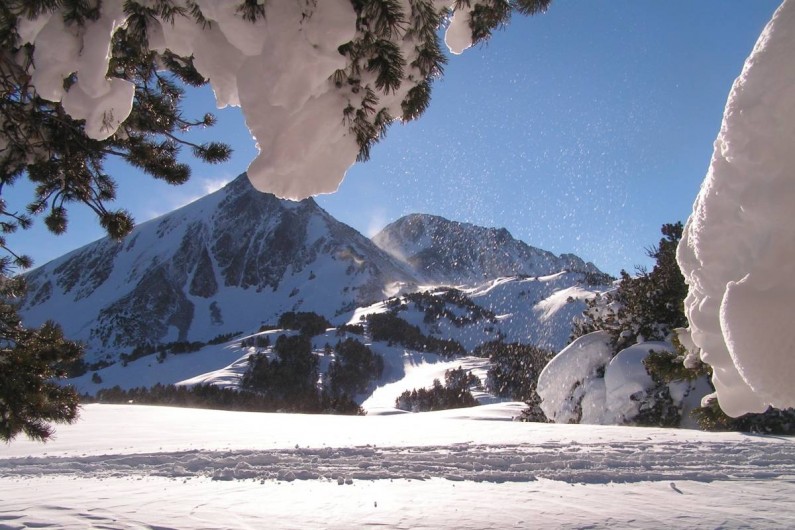 Location de vacances - Gîte à Formiguères