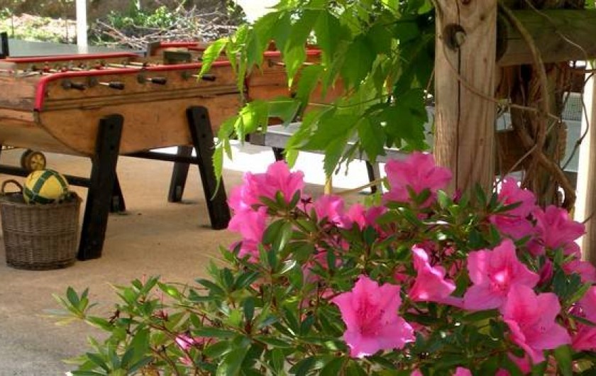 Location de vacances - Gîte à Saint-Jean-du-Gard