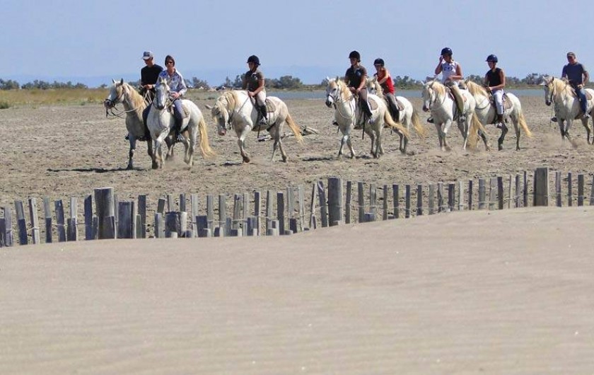 Location de vacances - Appartement à Arles