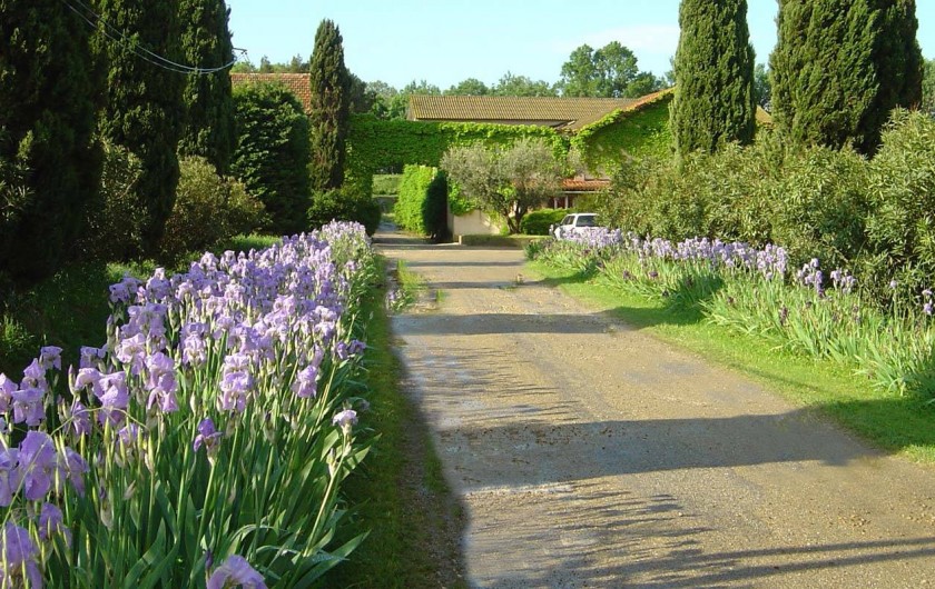 Location de vacances - Appartement à Arles