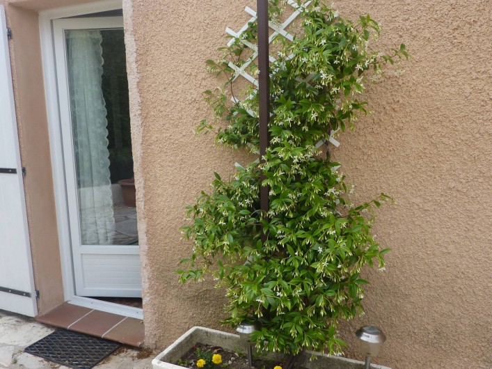 Location de vacances - Villa à Aubagne - Extérieur