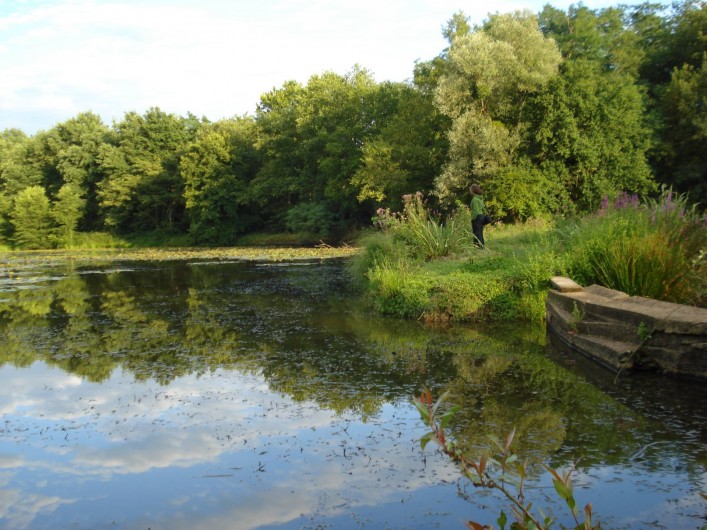 Location de vacances - Tipi à Saint-Vincent-en-Bresse - Les étangs  et peut-être prévoir une journée de pêche...
