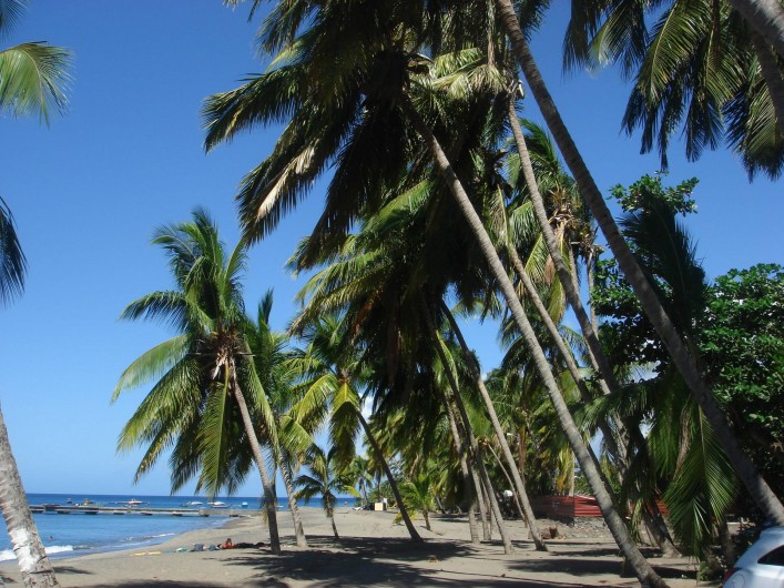 Location de vacances - Bungalow - Mobilhome à Le Carbet - Plage