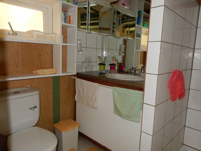 Location de vacances - Bungalow - Mobilhome à Le Carbet - Salle d'eau