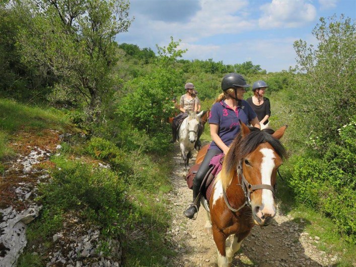 Location de vacances - Chalet à Montricoux - De belles randonnées à pied, à cheval ou à VTT