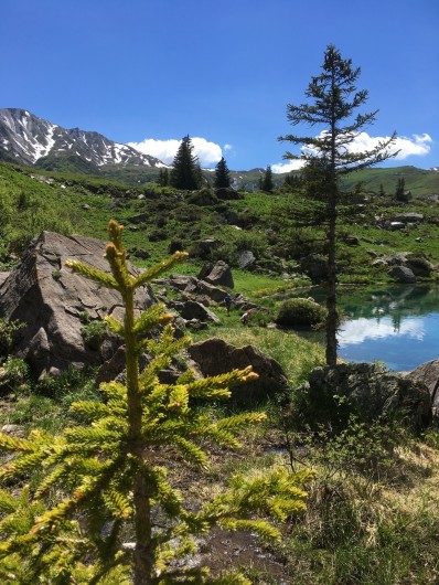 Location de vacances - Chalet à Arêches - Lac des fées à 5 kms du chalet